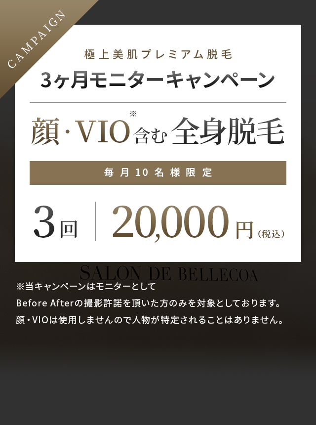 極上美肌プレミアム脱毛3ヶ月モニターキャンペーン 顔・VIO含む全身脱毛 毎月10名様限定 3回20,000円